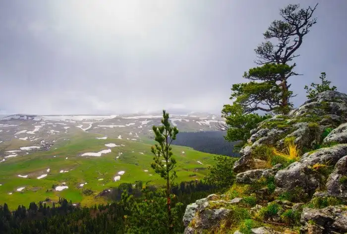 Плато Лаго-Наки на Западном Кавказе