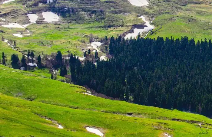 Плато Лаго-Наки на Западном Кавказе