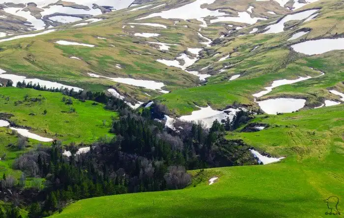 Плато Лаго-Наки на Западном Кавказе