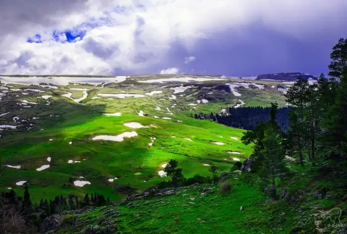 Плато Лаго-Наки на Западном Кавказе