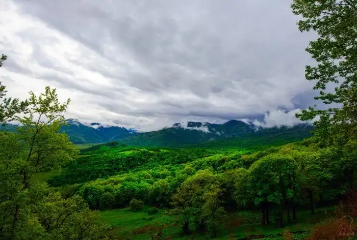 Плато Лаго-Наки на Западном Кавказе