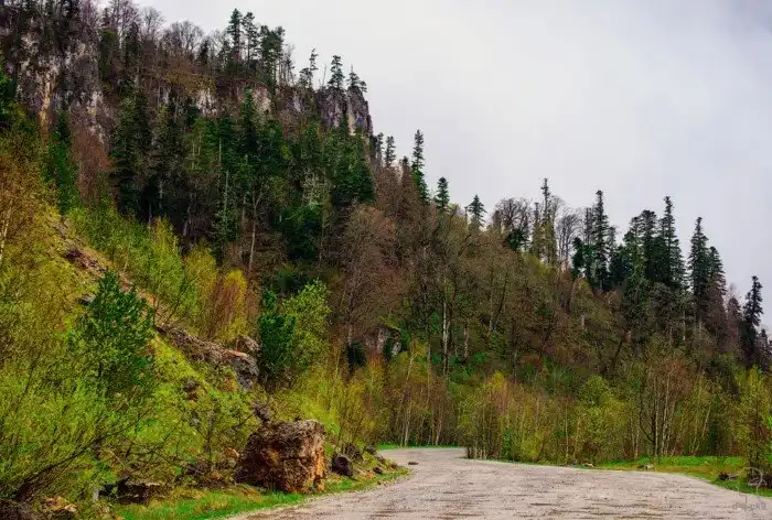 Плато Лаго-Наки на Западном Кавказе