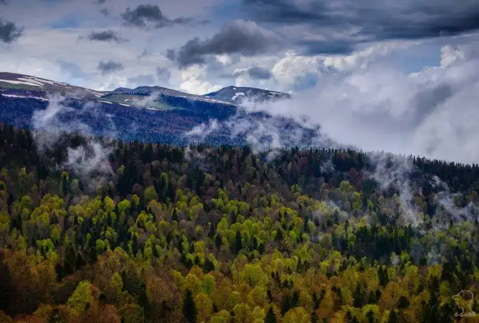 Плато Лаго-Наки на Западном Кавказе