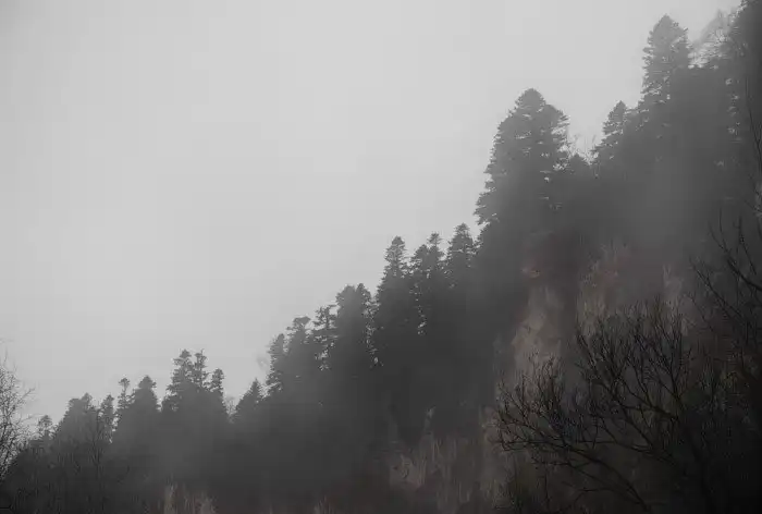 Плато Лаго-Наки на Западном Кавказе