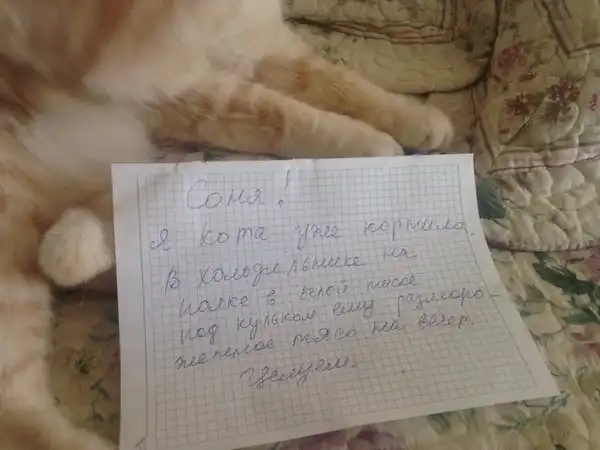 Сразу видно, кто тут главный!