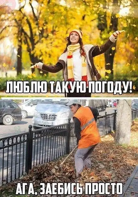 Юмор не для всех