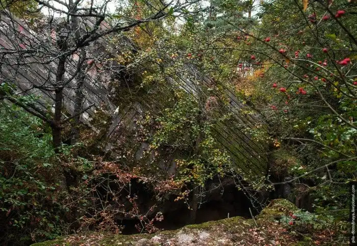 Бункер для Фюрера