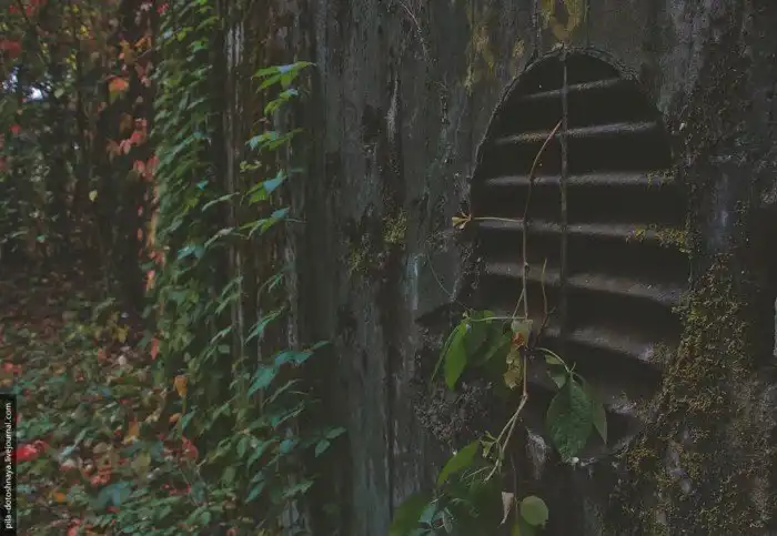 Бункер для Фюрера