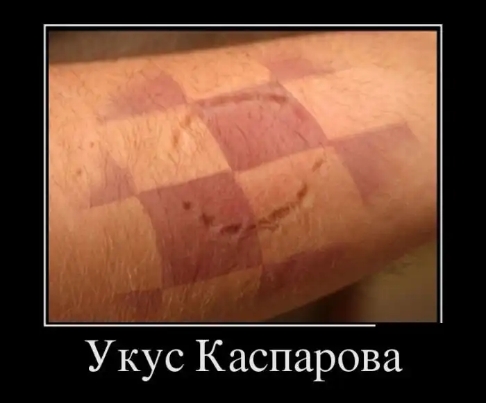 Демотиваторы (25.11.16)