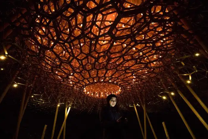 Королевские ботанические сады Кью