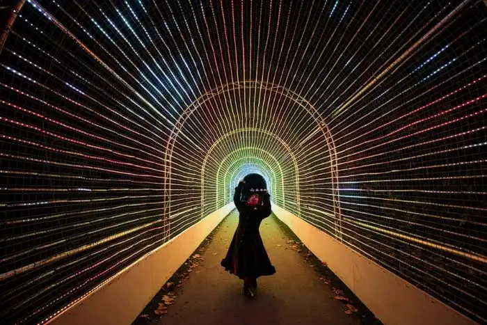 Королевские ботанические сады Кью