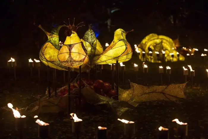 Королевские ботанические сады Кью