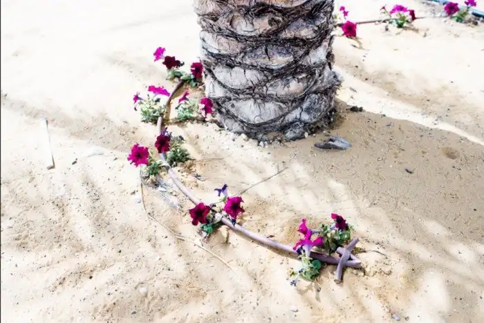 Фотопроект: умирающее Мертвое море