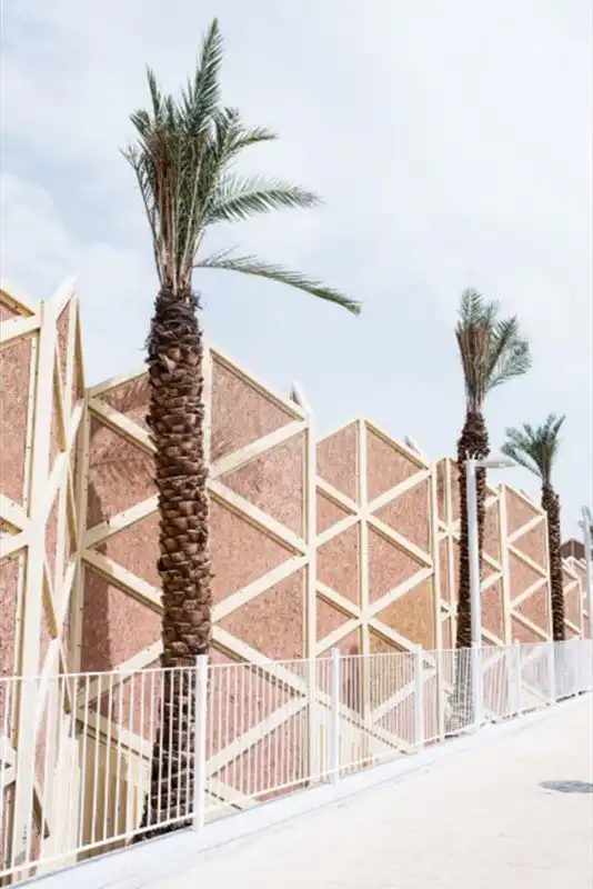 Фотопроект: умирающее Мертвое море