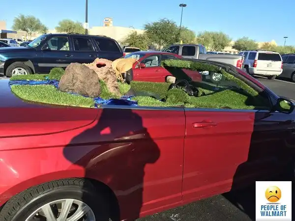 Экстравагантные покупатели Walmart