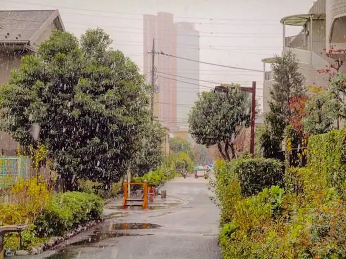 В Токио впервые за 54 года первый снег выпал в ноябре