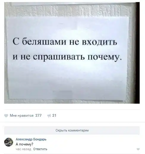 Ужасы и приколы из соцсетей