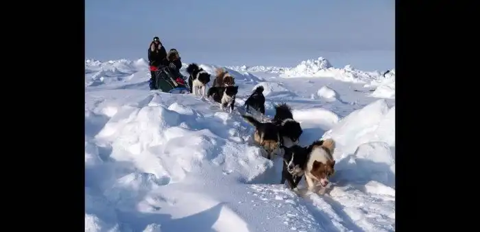 Холодные фотографии Северного полюса