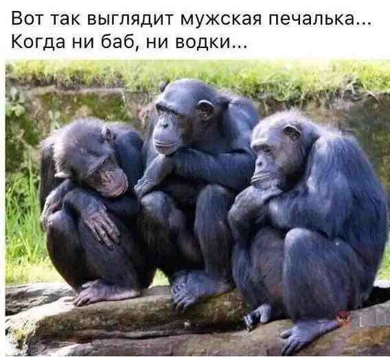 Всякостей пост