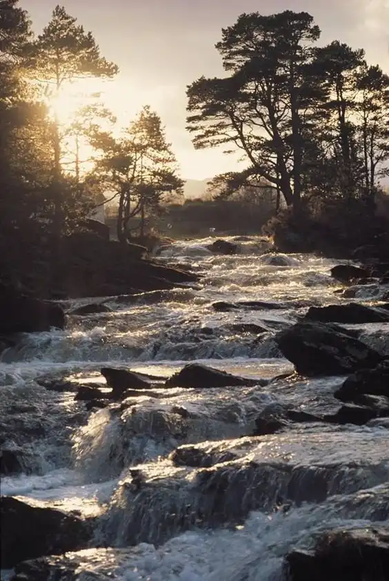 С Добрым утром!