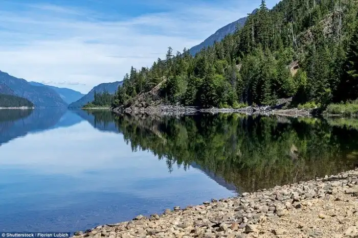 16 способов поближе познакомиться с дикими животными в Канаде