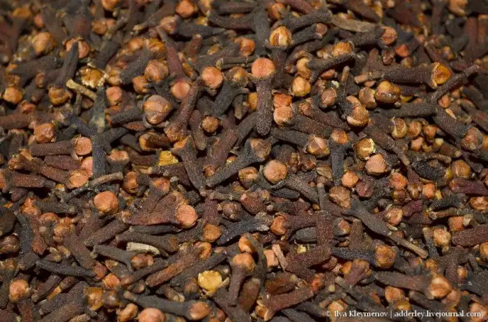 Как выращивают и обрабатывают гвоздику на Мадагаскаре