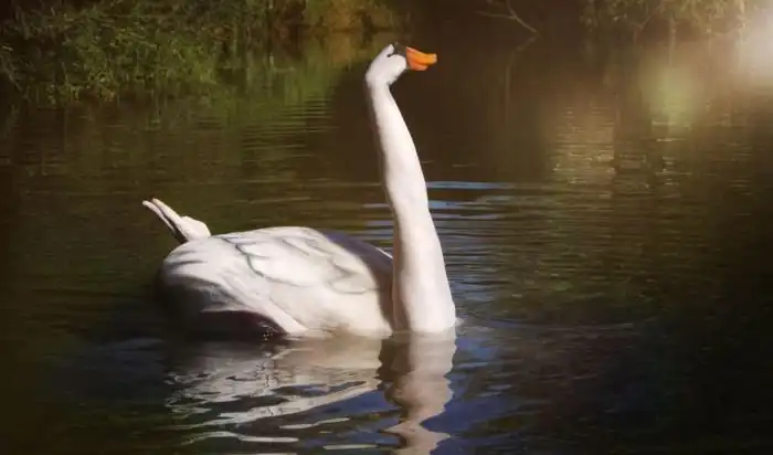 Потрясающий боди-арт от Гезине Марведель