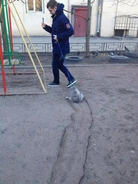 Вестник социальных сетей (мини)