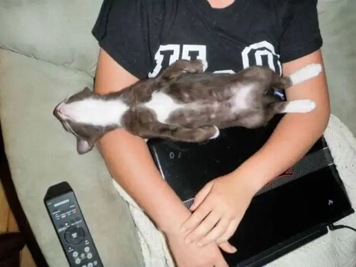 Прикольные картинки абавсём:D (01.12.16)