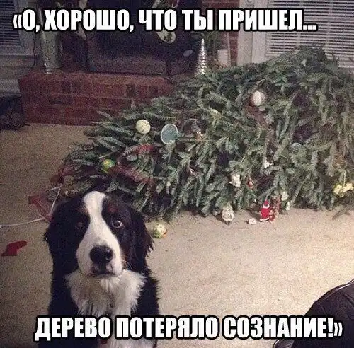 Винигретик из картинок