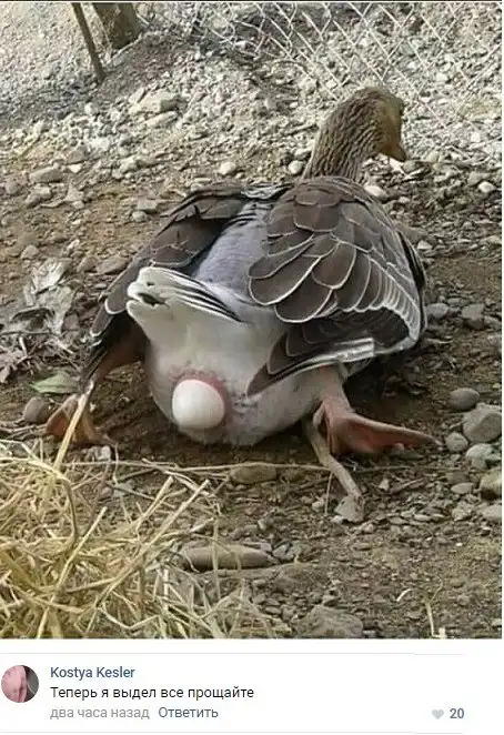 Насобиралось тут всякого