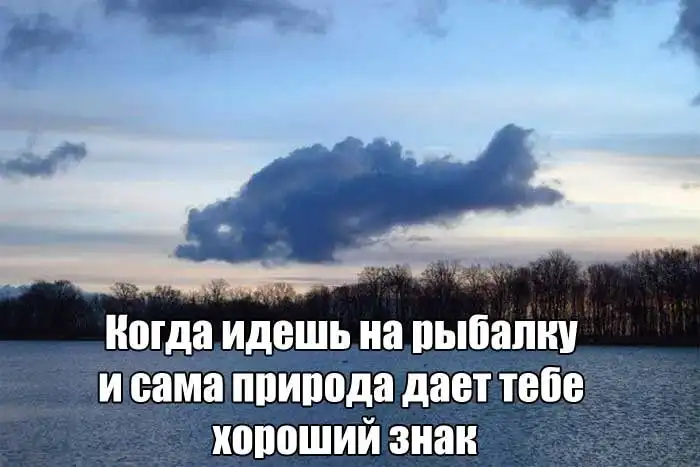 Прикольные картинки (26.01.17)