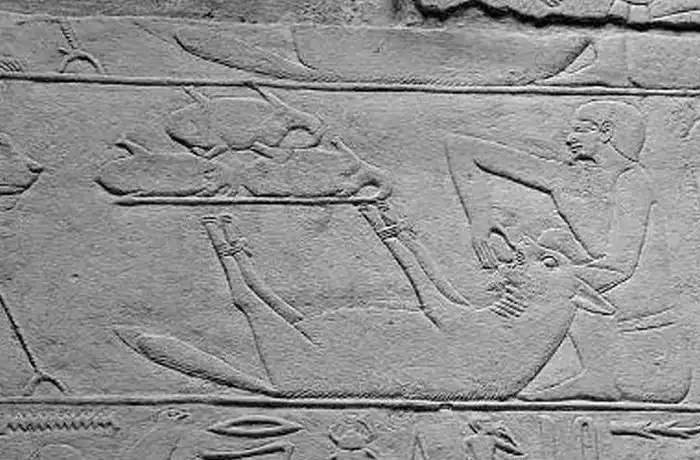 10 фактов о священных животных, которым поклонялись в Древнем Египте