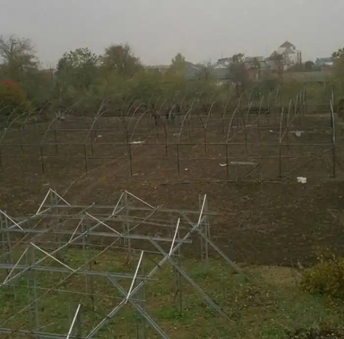 Как в Кабардино-Балкарии выращивают огурцы и помидоры