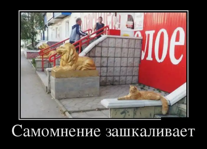 Демотиваторы (03.01.17)