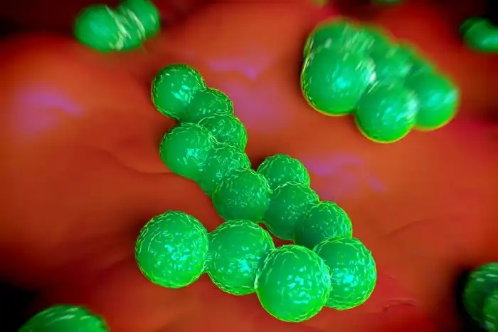 Апокалипсис и химеры: медицинские достижения 2016 года