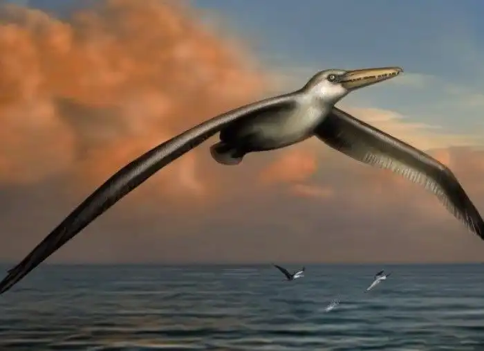 Топ-25 потрясающих вымерших животных, которых, к счастью, уже не существует