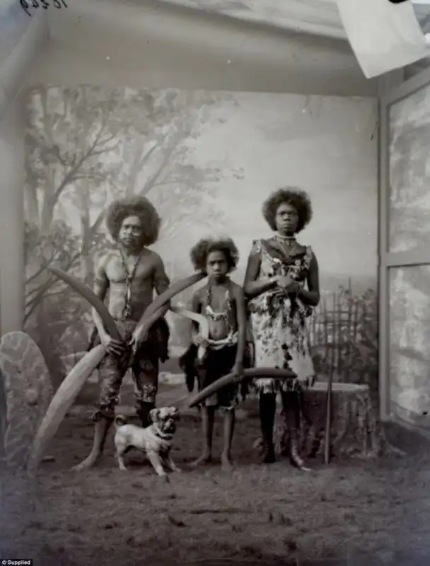 Так выглядит человеческий зоопарк