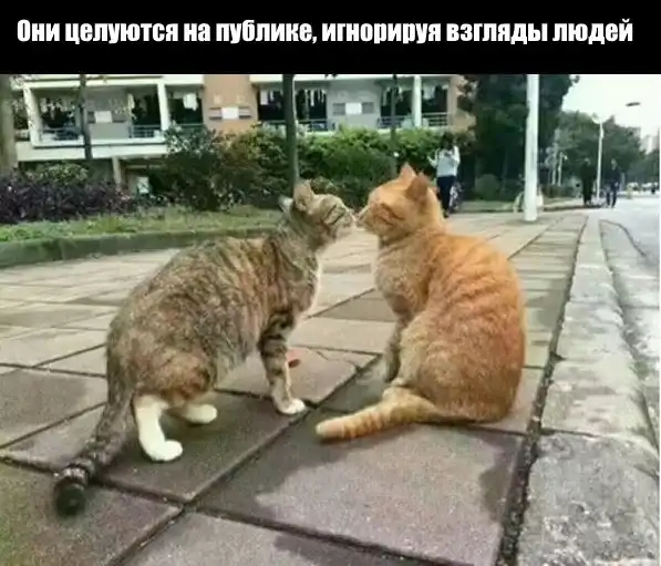 "Зелёная шляпа"