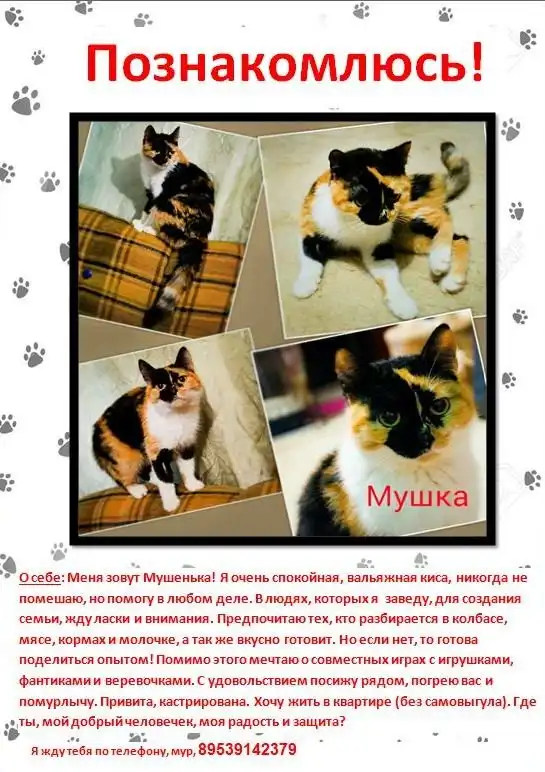 в поисках семьи