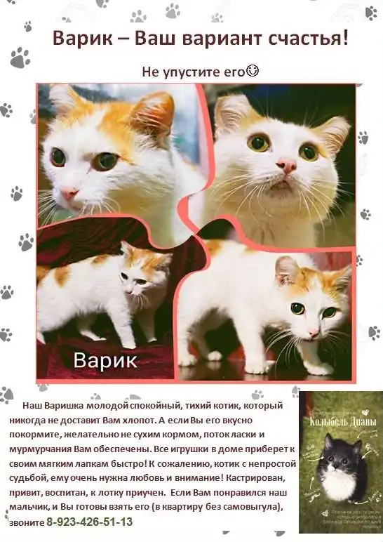 Им нужен дом!!!