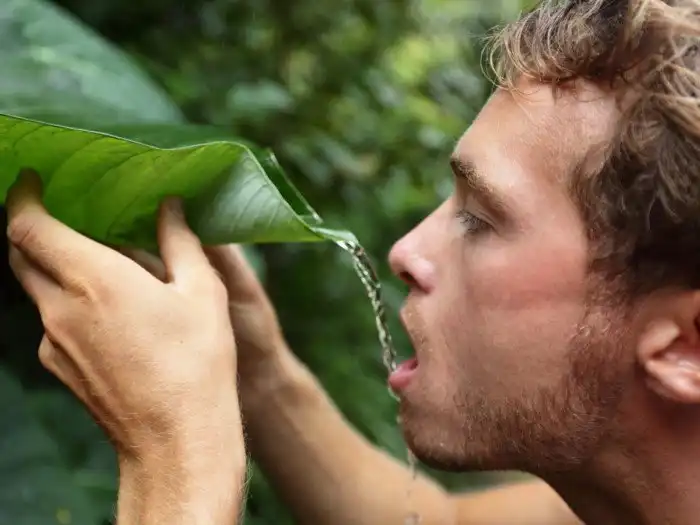 17 фактов, знание которых может однажды спасти вам жизнь