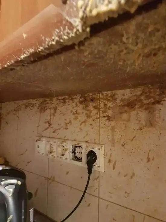 Последствия взрыва мультиварки