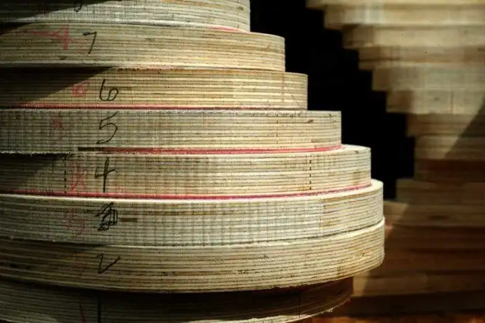 Как создаются необычные деревянные скульптуры Дэвида Кноппа