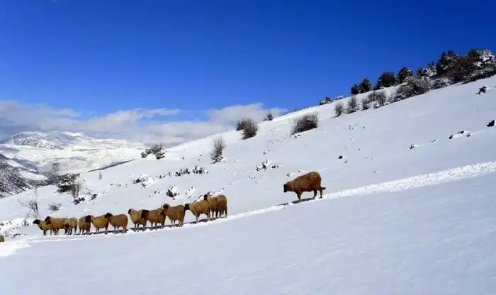 Десять фактов о Марокко, которые вас удивят