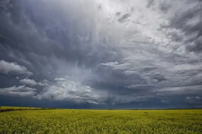 Бури и ураганы на снимках Райана Вунша