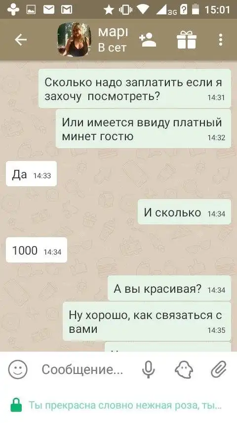 Непристойное предложние