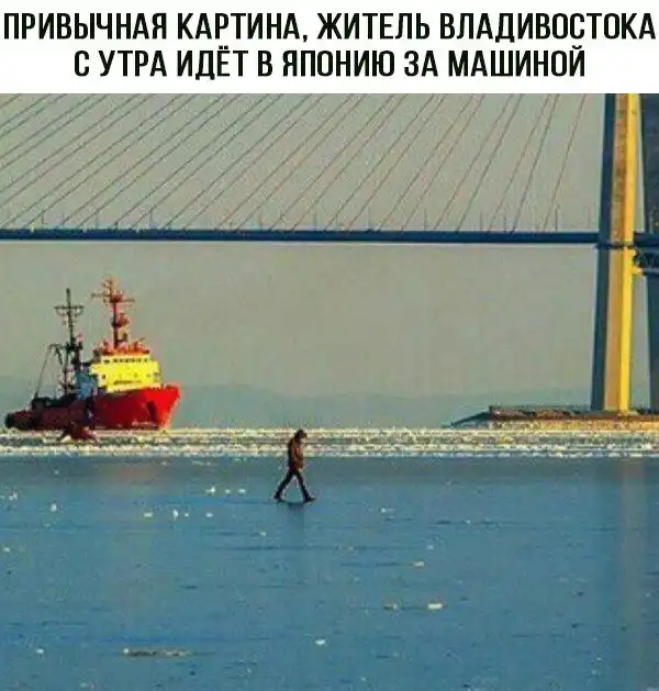 Всякого намешано