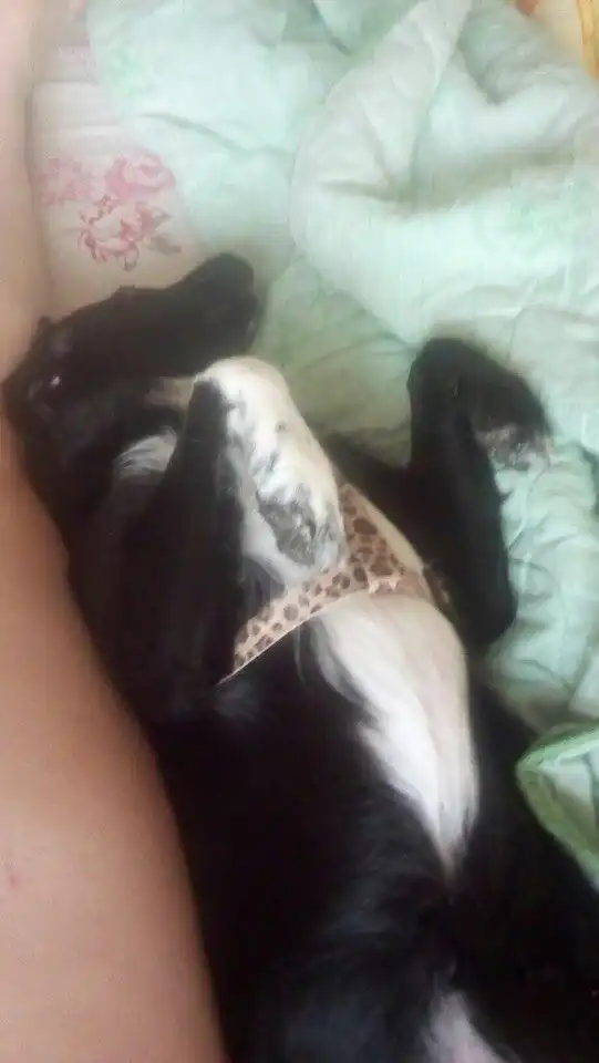 Кому кусочек счастья??? :)