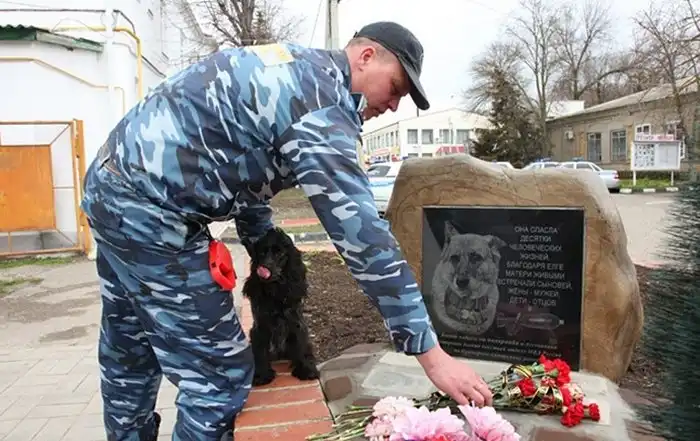 Овчарка Елга.